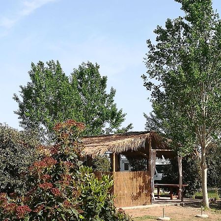 Bnatural Glamping Naturista/Nudista Baratti Bagian luar foto