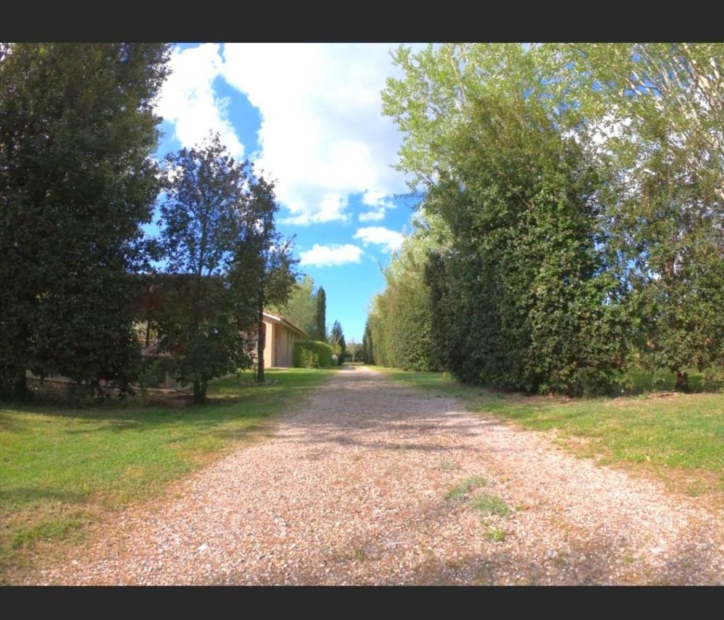 Bnatural Glamping Naturista/Nudista Baratti Bagian luar foto