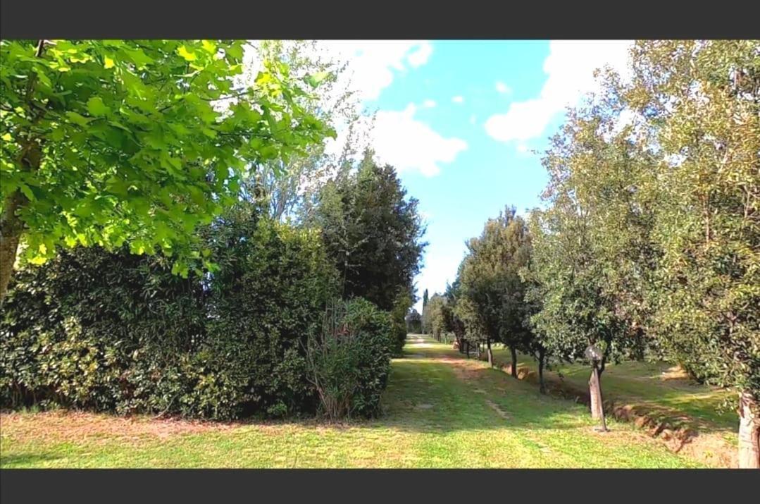 Bnatural Glamping Naturista/Nudista Baratti Bagian luar foto