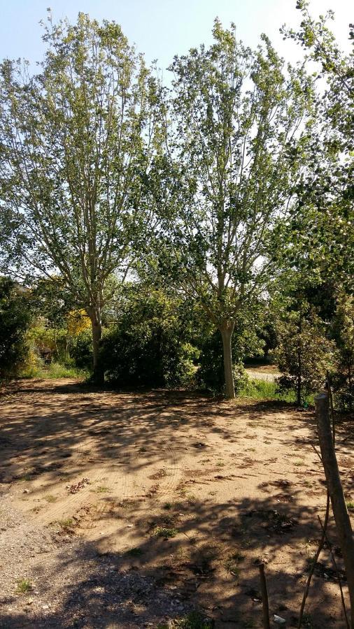 Bnatural Glamping Naturista/Nudista Baratti Bagian luar foto