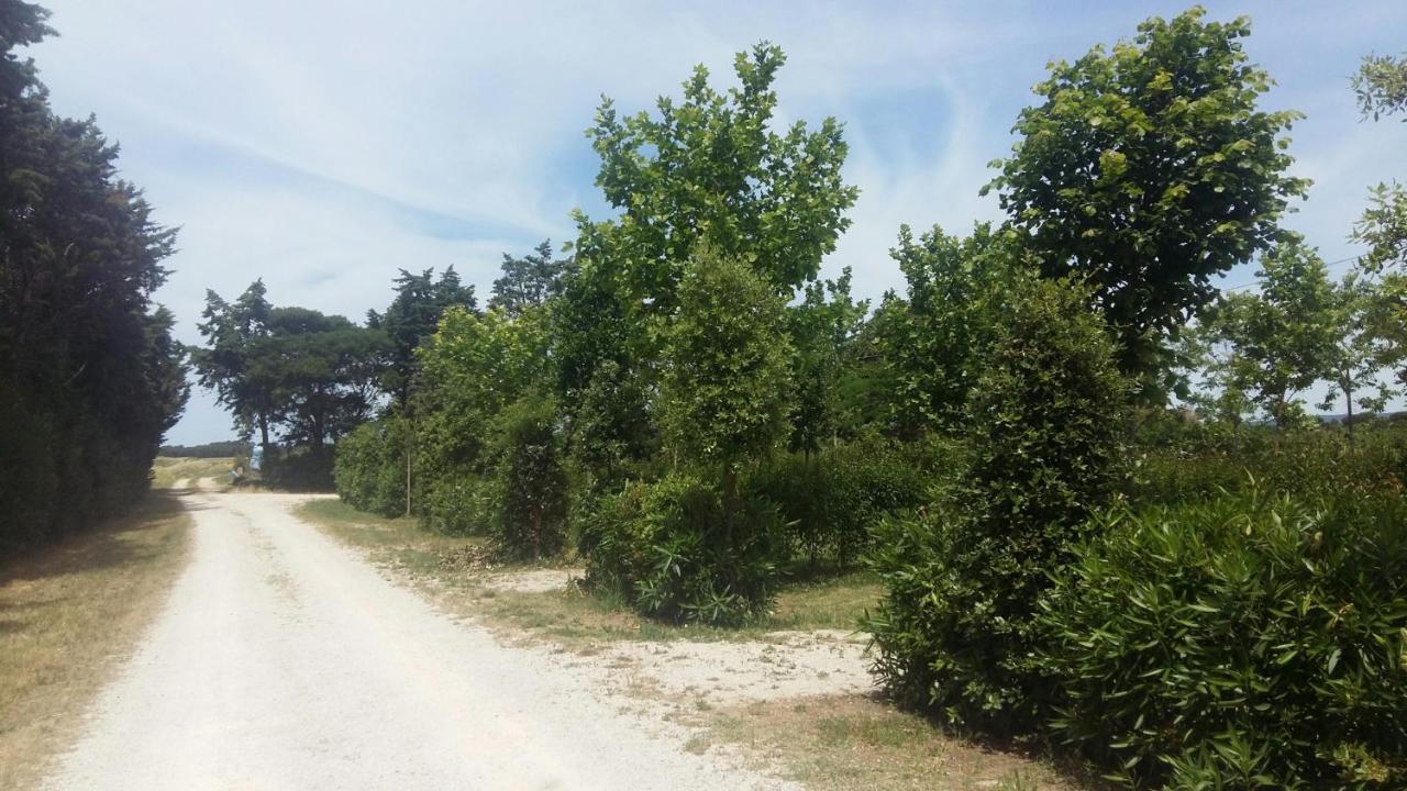 Bnatural Glamping Naturista/Nudista Baratti Bagian luar foto