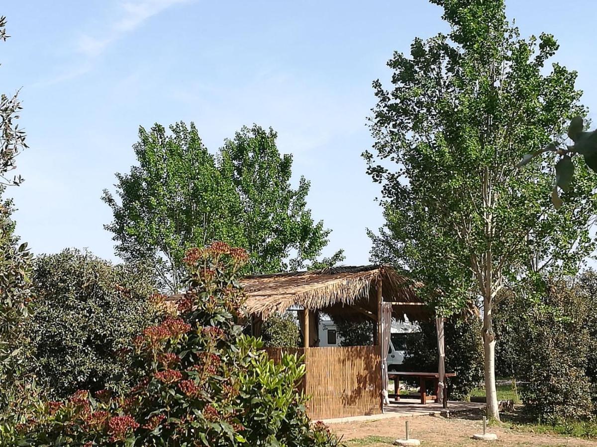 Bnatural Glamping Naturista/Nudista Baratti Bagian luar foto
