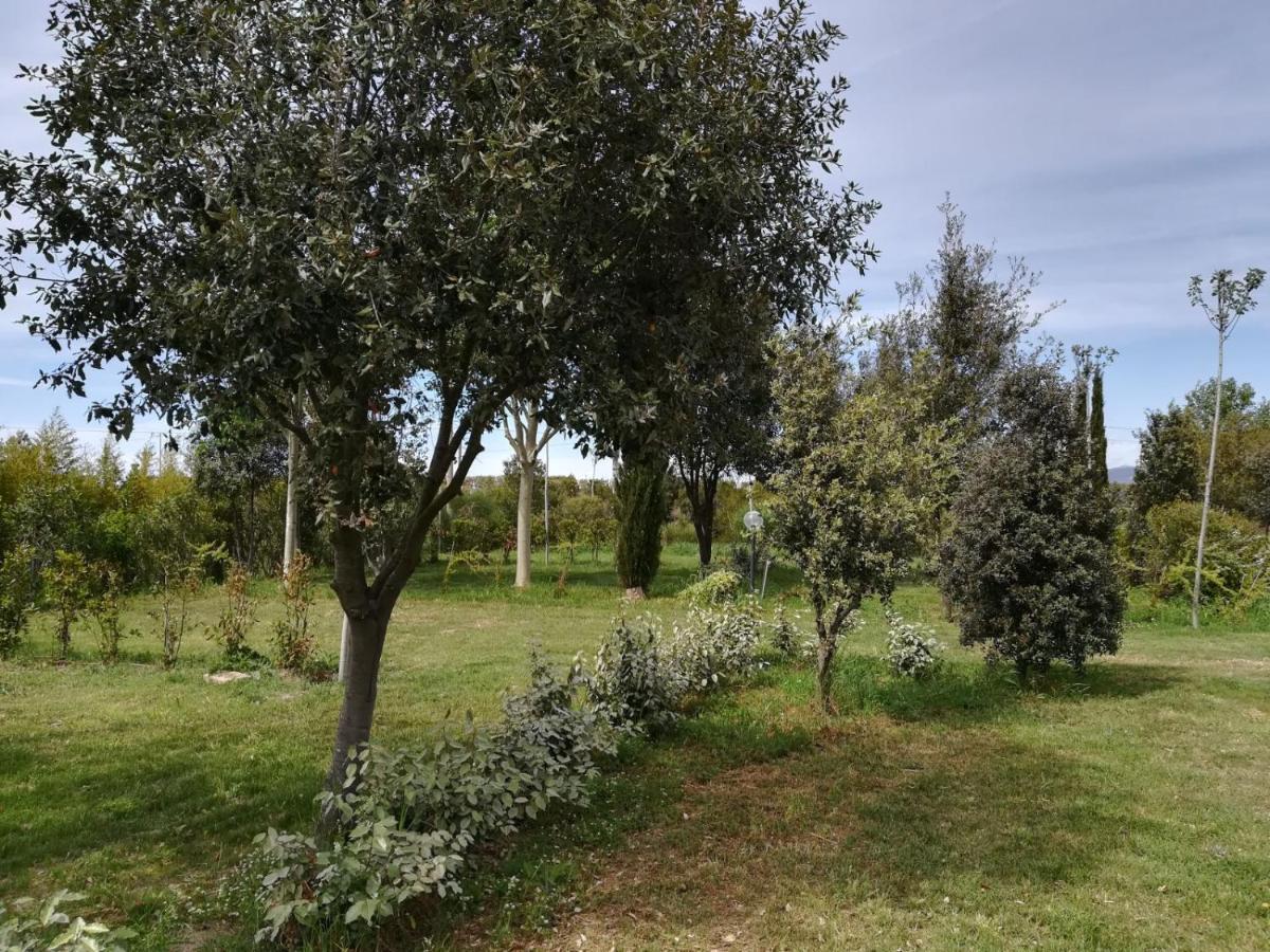Bnatural Glamping Naturista/Nudista Baratti Bagian luar foto