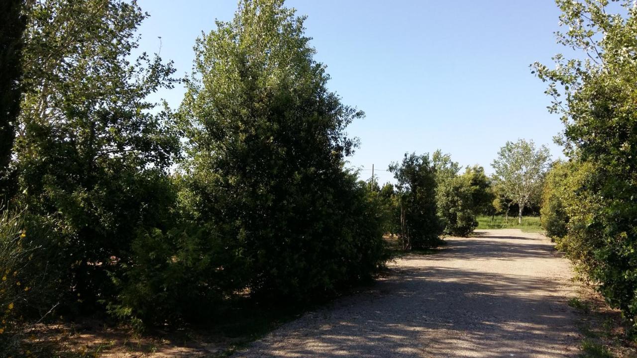 Bnatural Glamping Naturista/Nudista Baratti Bagian luar foto