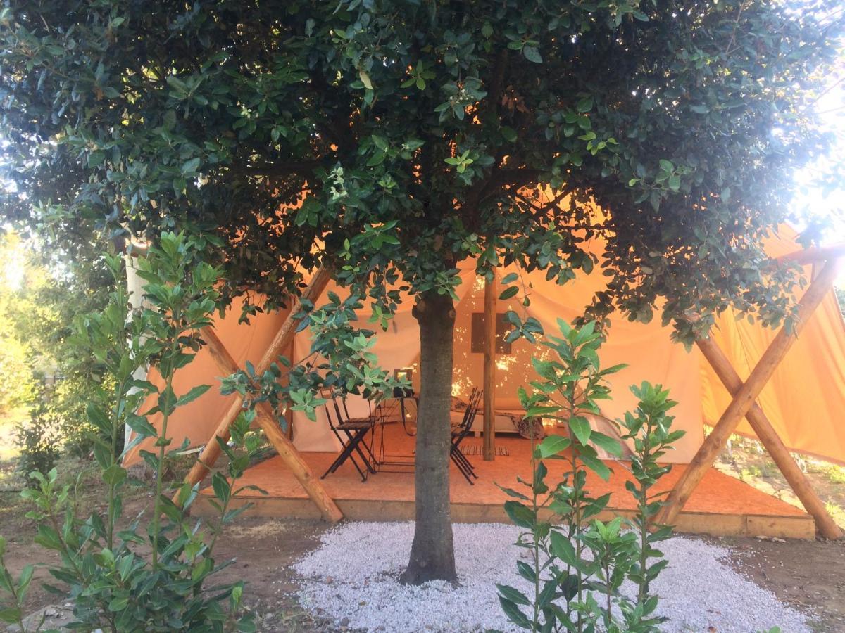 Bnatural Glamping Naturista/Nudista Baratti Bagian luar foto