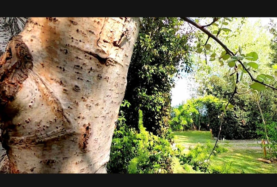 Bnatural Glamping Naturista/Nudista Baratti Bagian luar foto