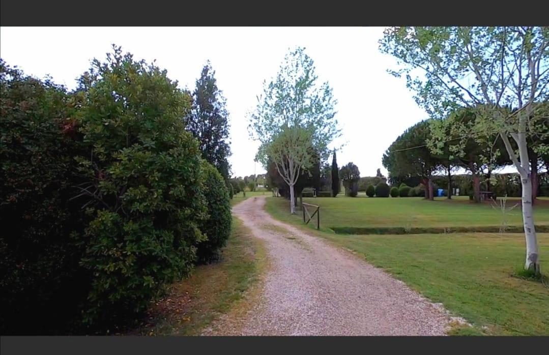 Bnatural Glamping Naturista/Nudista Baratti Bagian luar foto