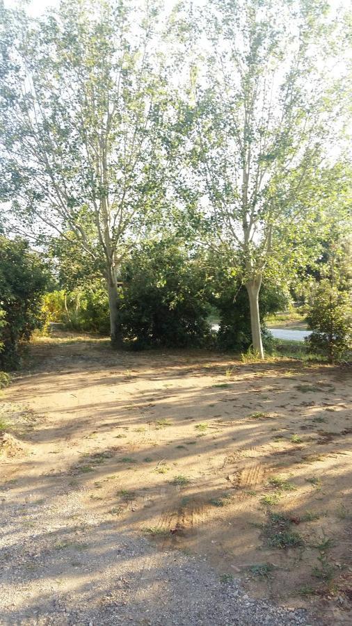 Bnatural Glamping Naturista/Nudista Baratti Bagian luar foto