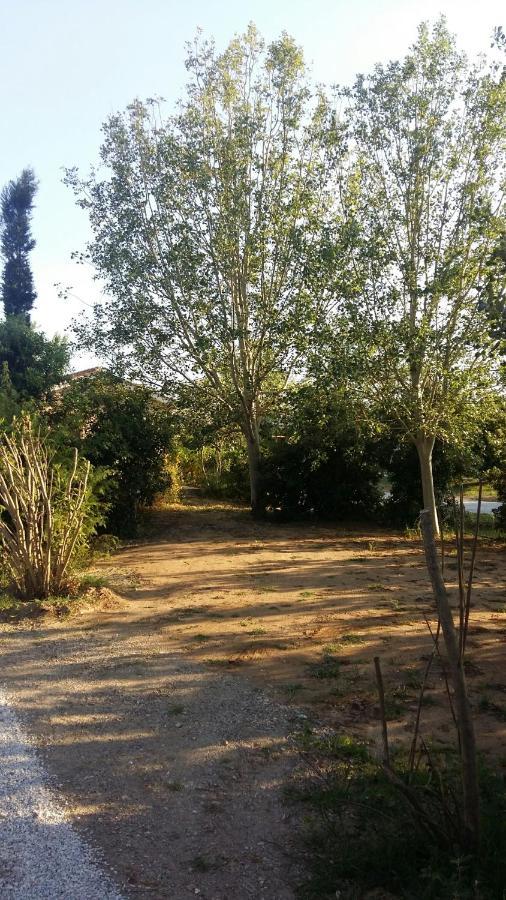 Bnatural Glamping Naturista/Nudista Baratti Bagian luar foto