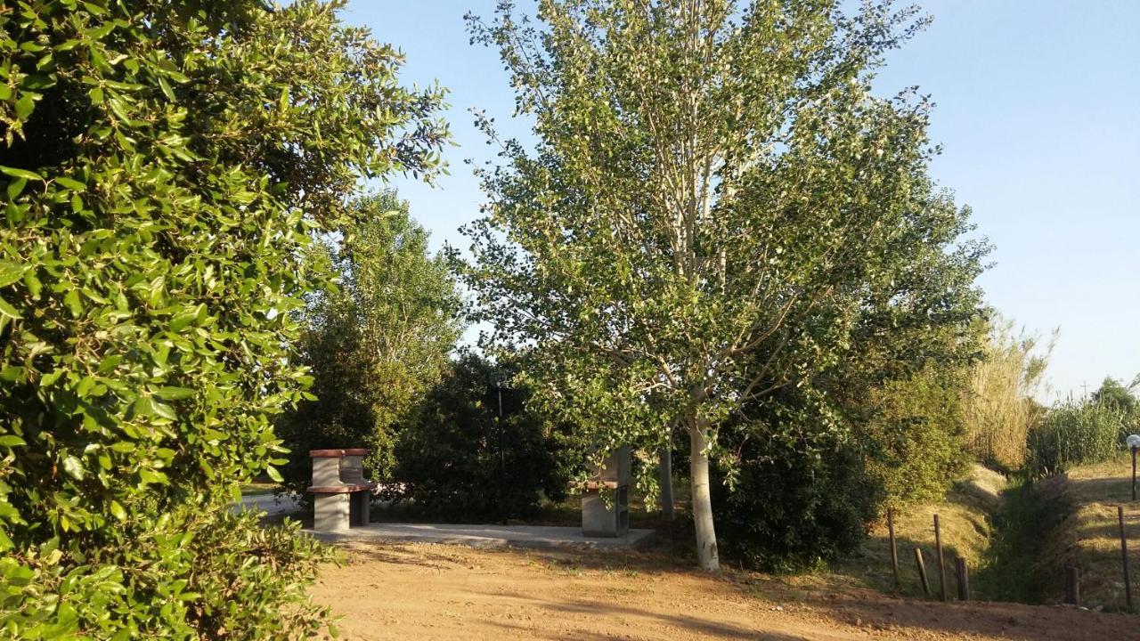 Bnatural Glamping Naturista/Nudista Baratti Bagian luar foto