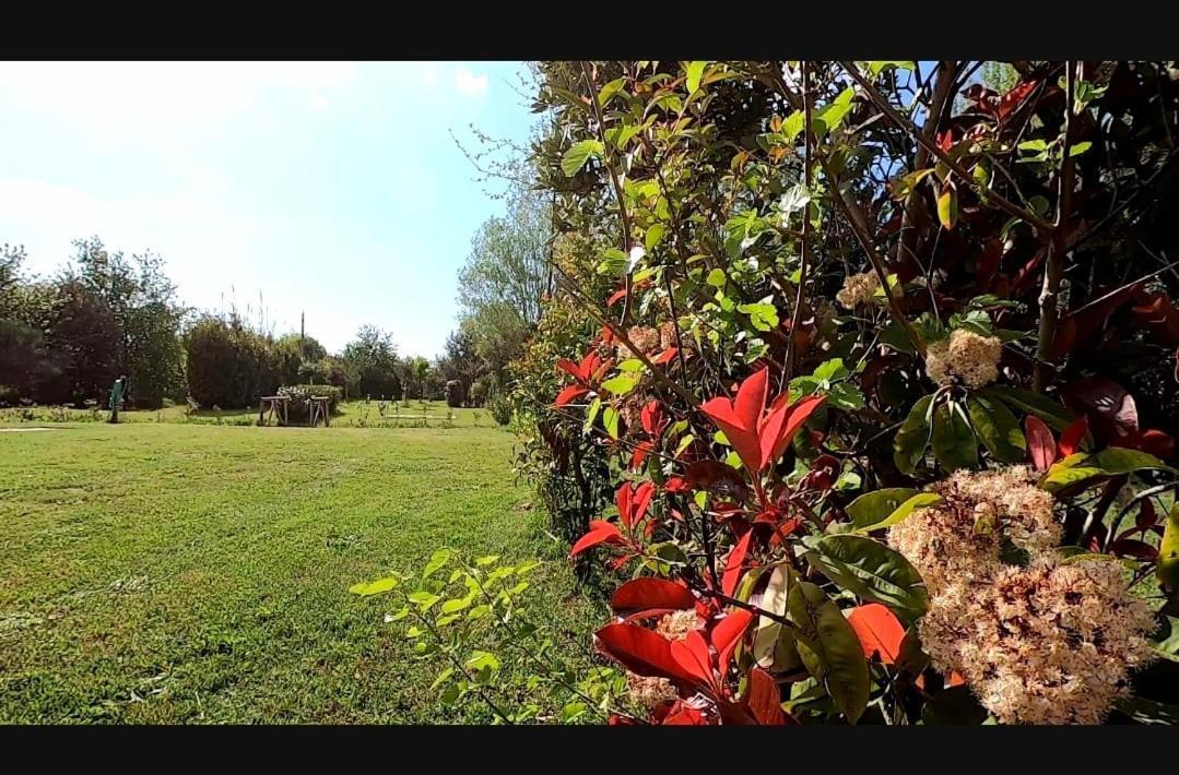 Bnatural Glamping Naturista/Nudista Baratti Bagian luar foto